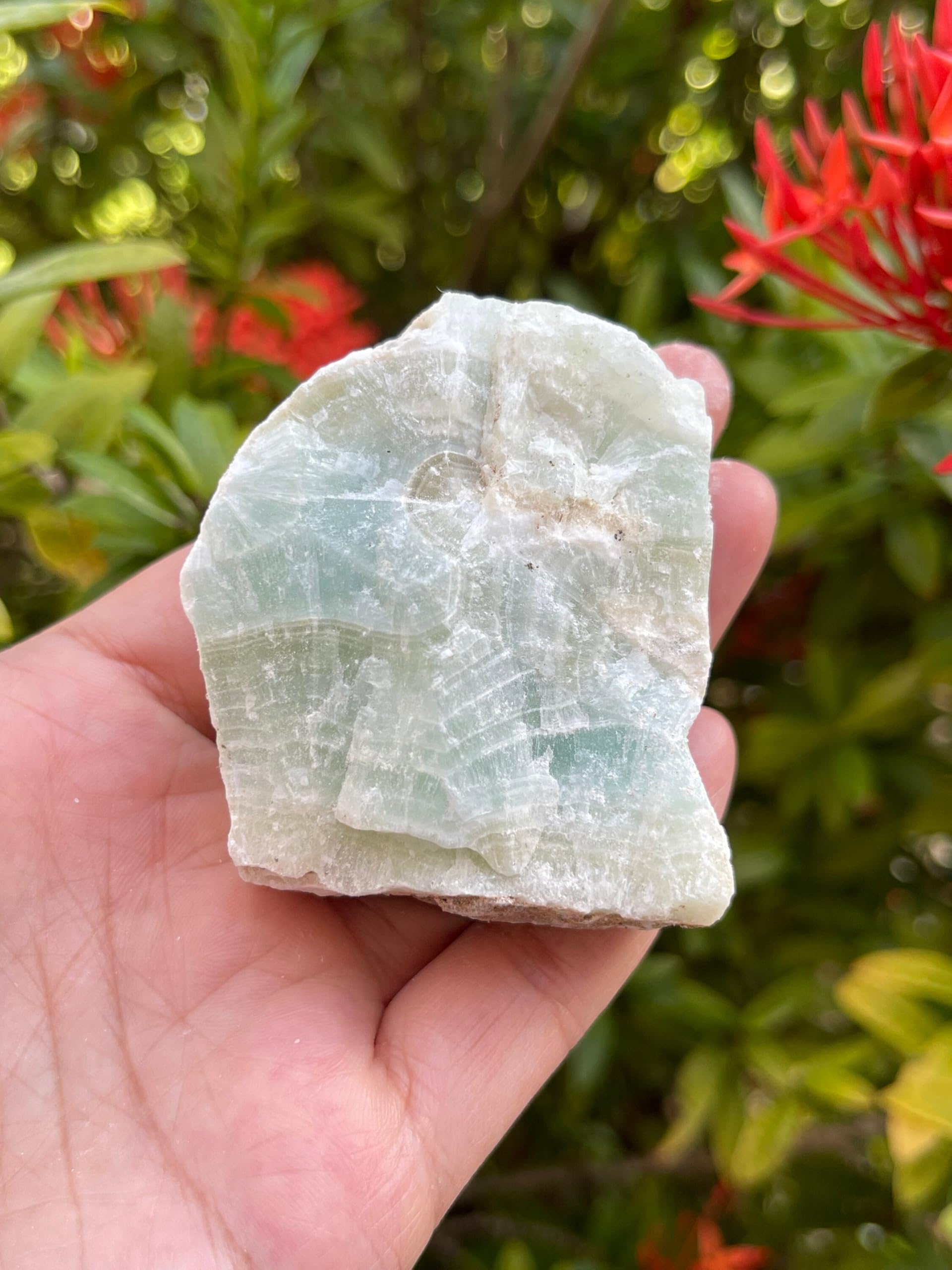GAF TREASURES Piedra Calcita Pistacho cruda ideal para colección de minerales