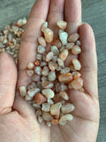 GAF TREASURES: chips irregulares para plantas y arreglos decorativos con piedra sol.
