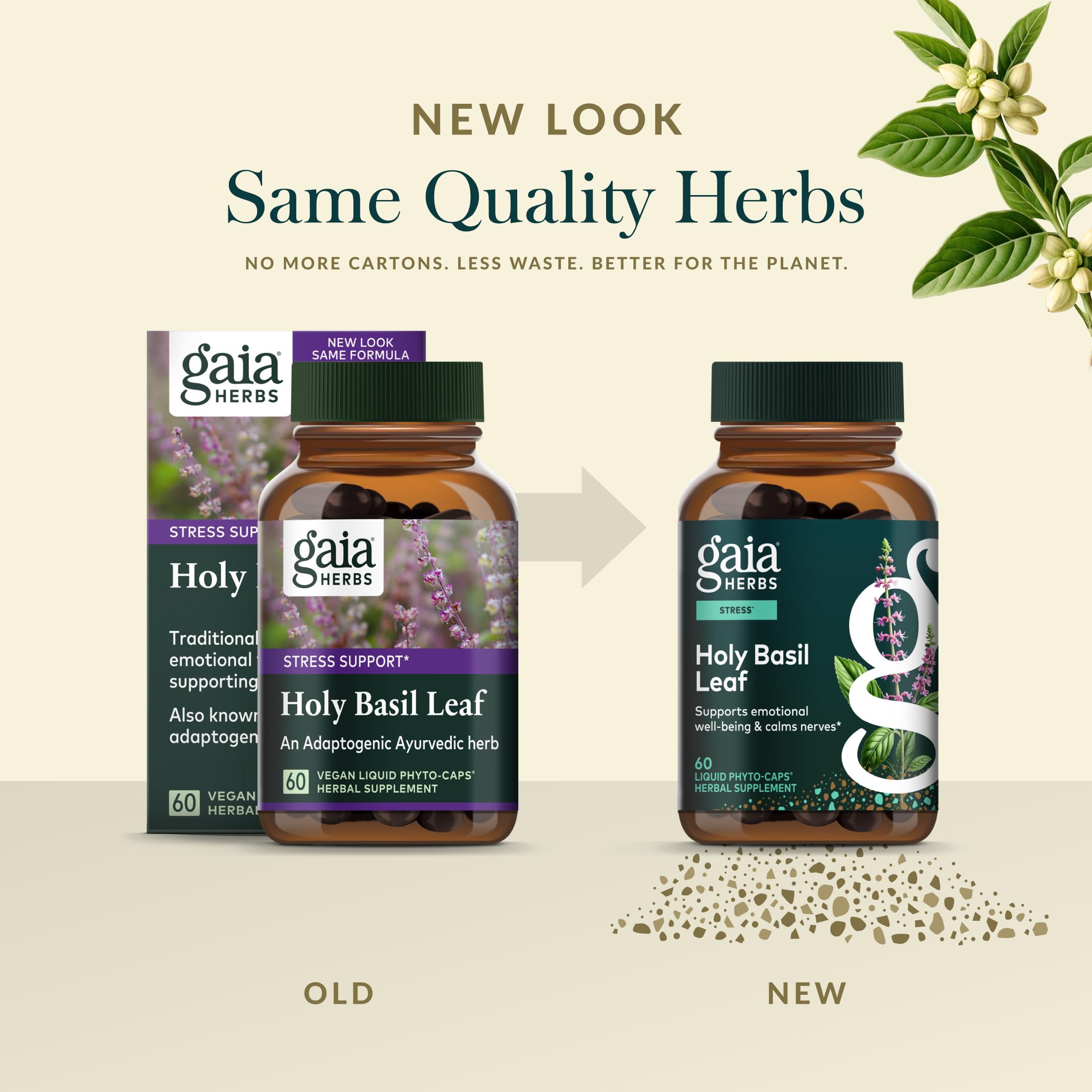 Gaia Finca regenerativa en India: cultivo sostenible.
