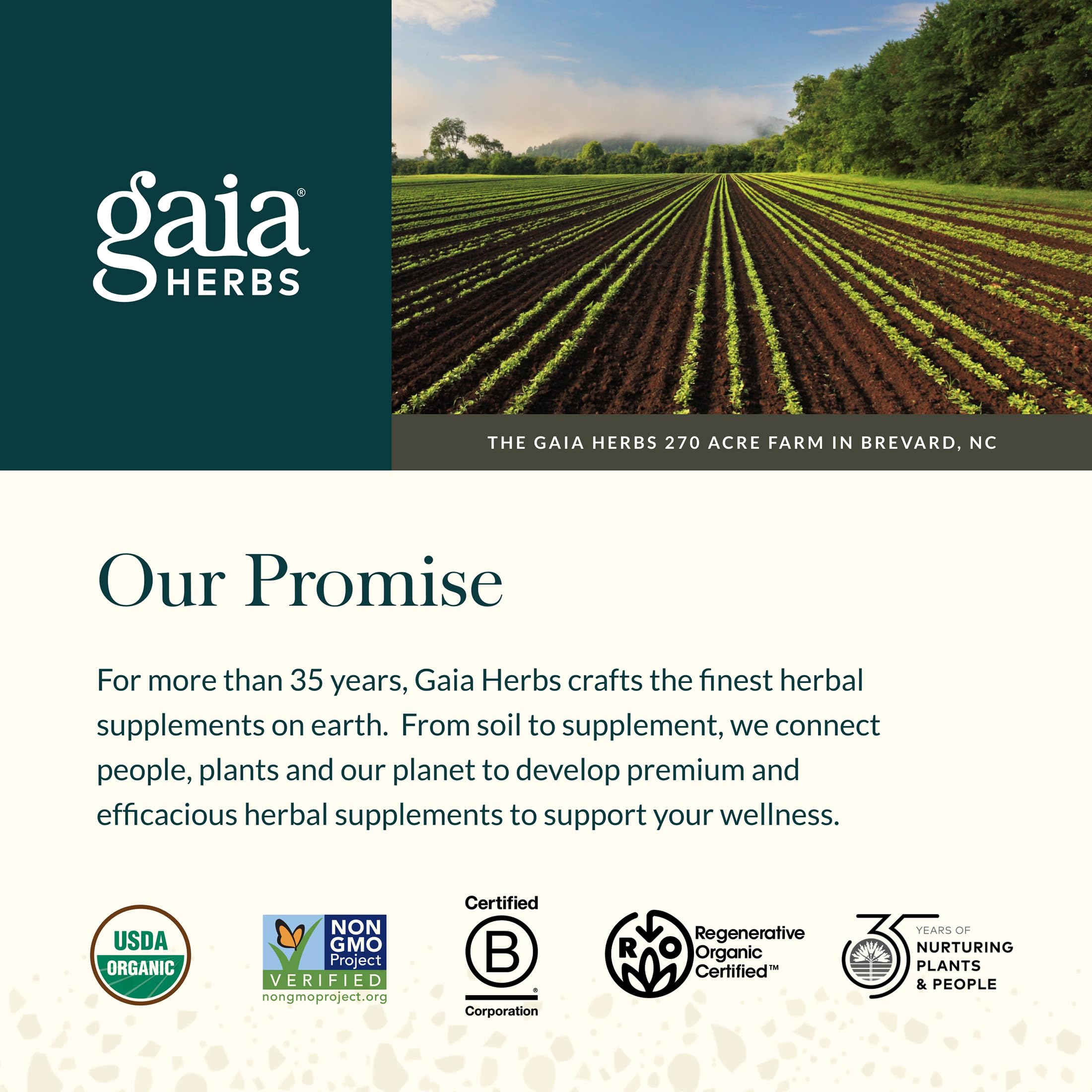 Gaia Herbs Adaptogen Performance: botella sobre escritorio para concentración sostenida.