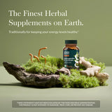 Gaia Herbs Adaptogen Performance: cápsulas en primer plano para claridad y resistencia diaria.