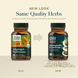 Gaia Herbs Adaptogen Performance: escena activa al aire libre para mantener energía.