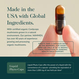 Gaia Herbs Adrenal Health Jumpstart — rhodiola y schisandra destacadas para respuesta al estrés