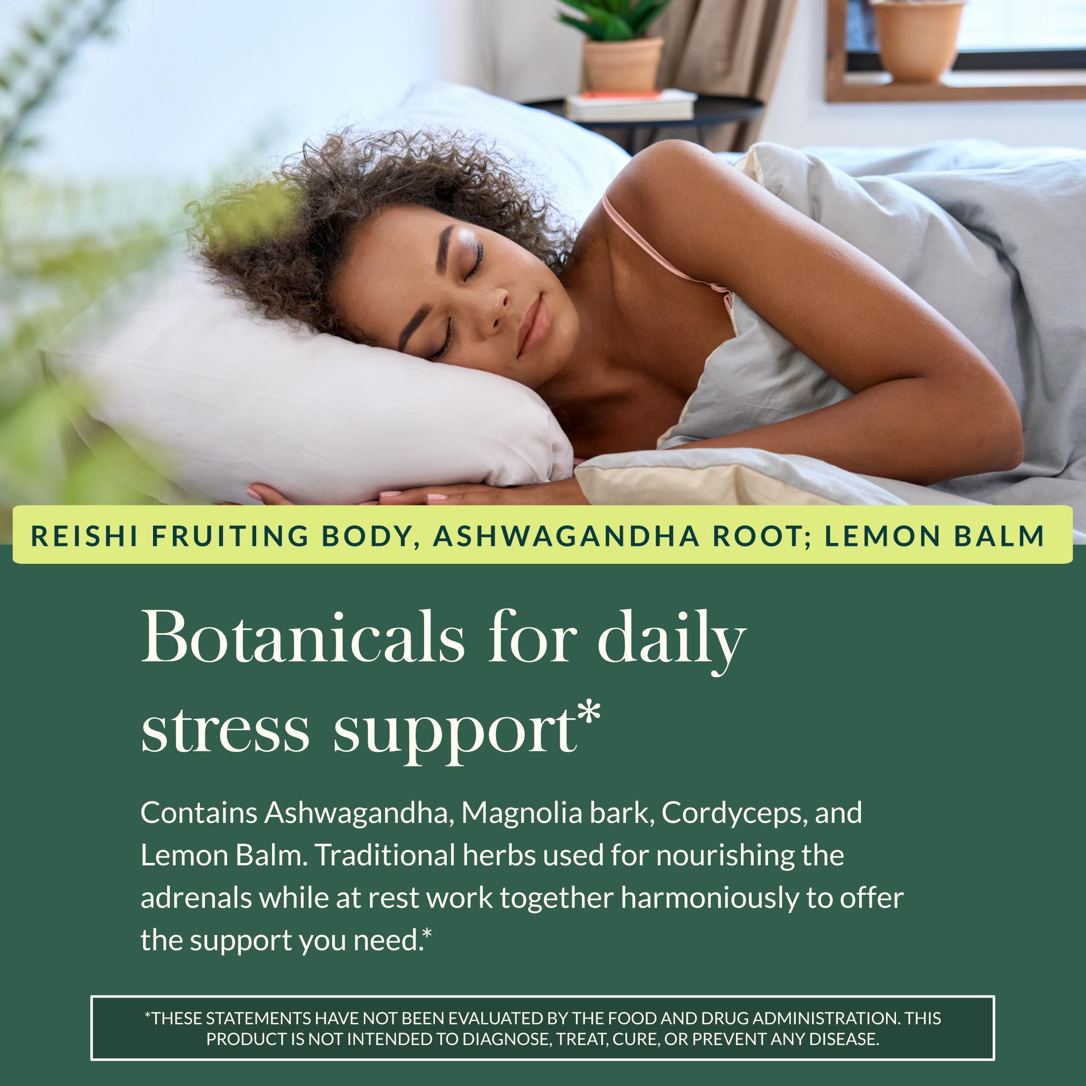 Rama de Magnolia en Gaia Herbs Adrenal Health Nightly Restore.