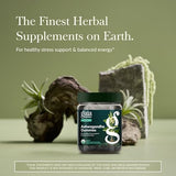 Gaia Herbs Ashwagandha Gummies botella de 45 cuentas sabor natural