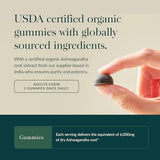 Gaia Herbs Ashwagandha Gummies canela y jengibre destacados sabor agradable