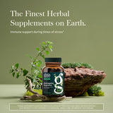 Gaia Herbs Astrágalo Supremo, etiqueta clara con desglose de ingredientes clave.