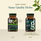Gaia Herbs Astrágalo Supremo, uso diario recomendado para bienestar general.