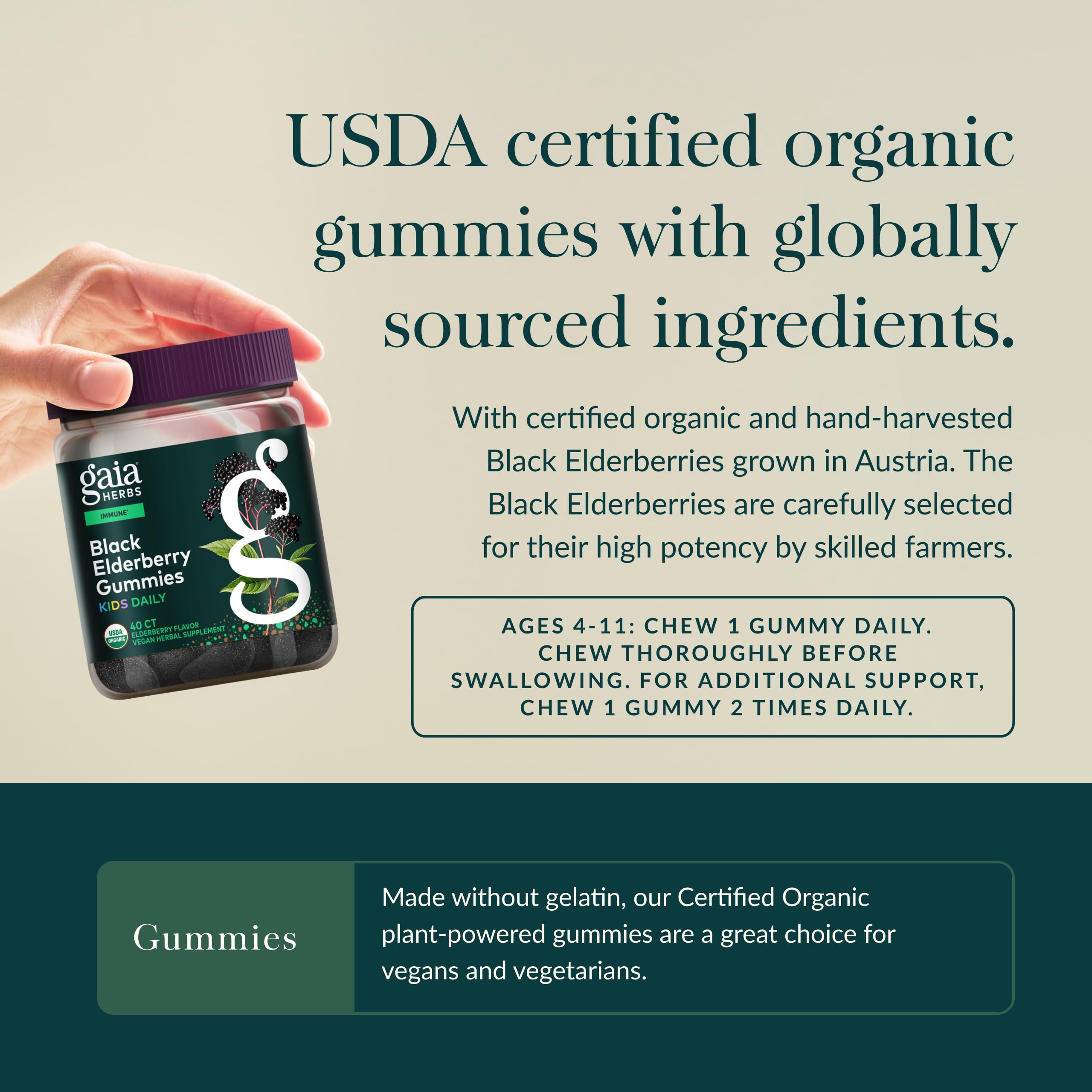 Gaia Herbs Black Elderberry Daily Gummies para Niños, gomitas cercanas, porción diaria de bayas
