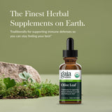 Gaia Herbs botella de extracto de hoja de olivo, etiqueta legible.