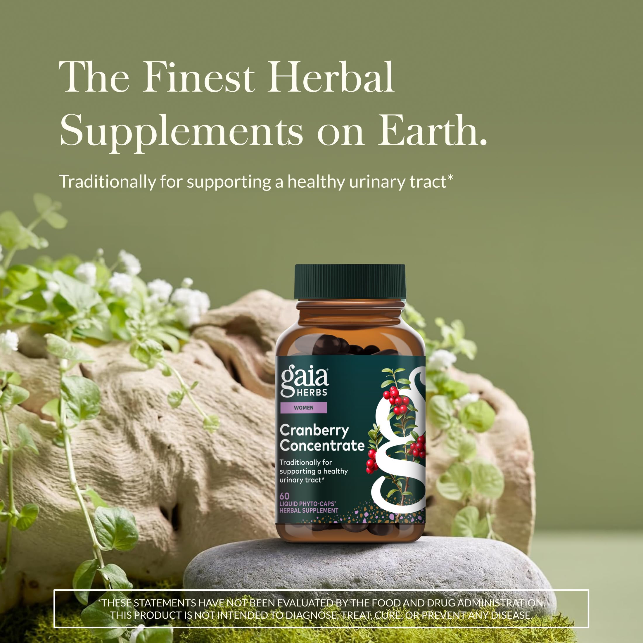 Gaia Herbs Cranberry Concentrate etiqueta frontal que destaca ingredientes.