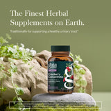 Gaia Herbs Cranberry Concentrate etiqueta frontal que destaca ingredientes.