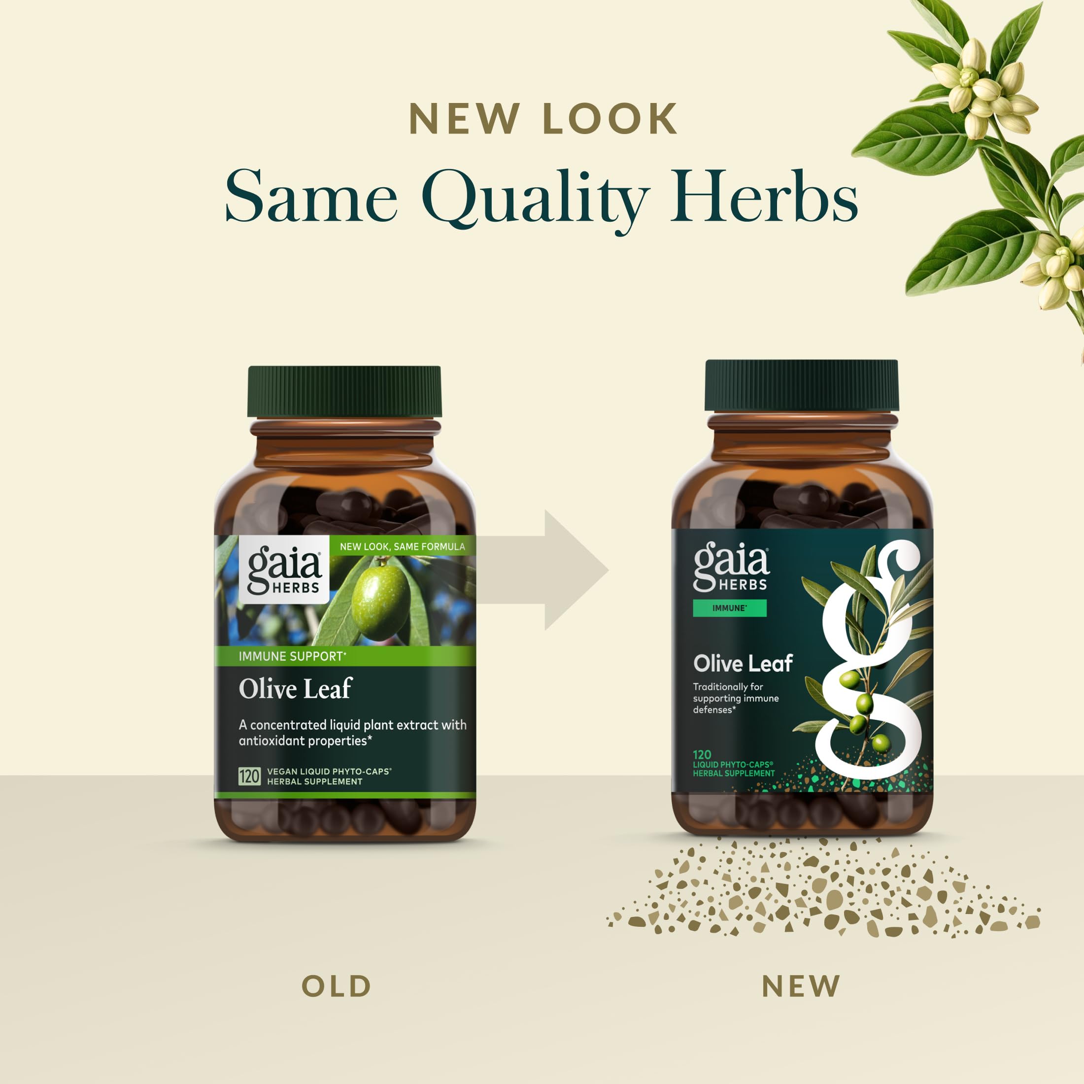 Gaia Herbs Hoja de Olivo, dosis diaria fácil de incorporar.