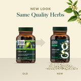Gaia Herbs Hoja de Olivo, dosis diaria fácil de incorporar.