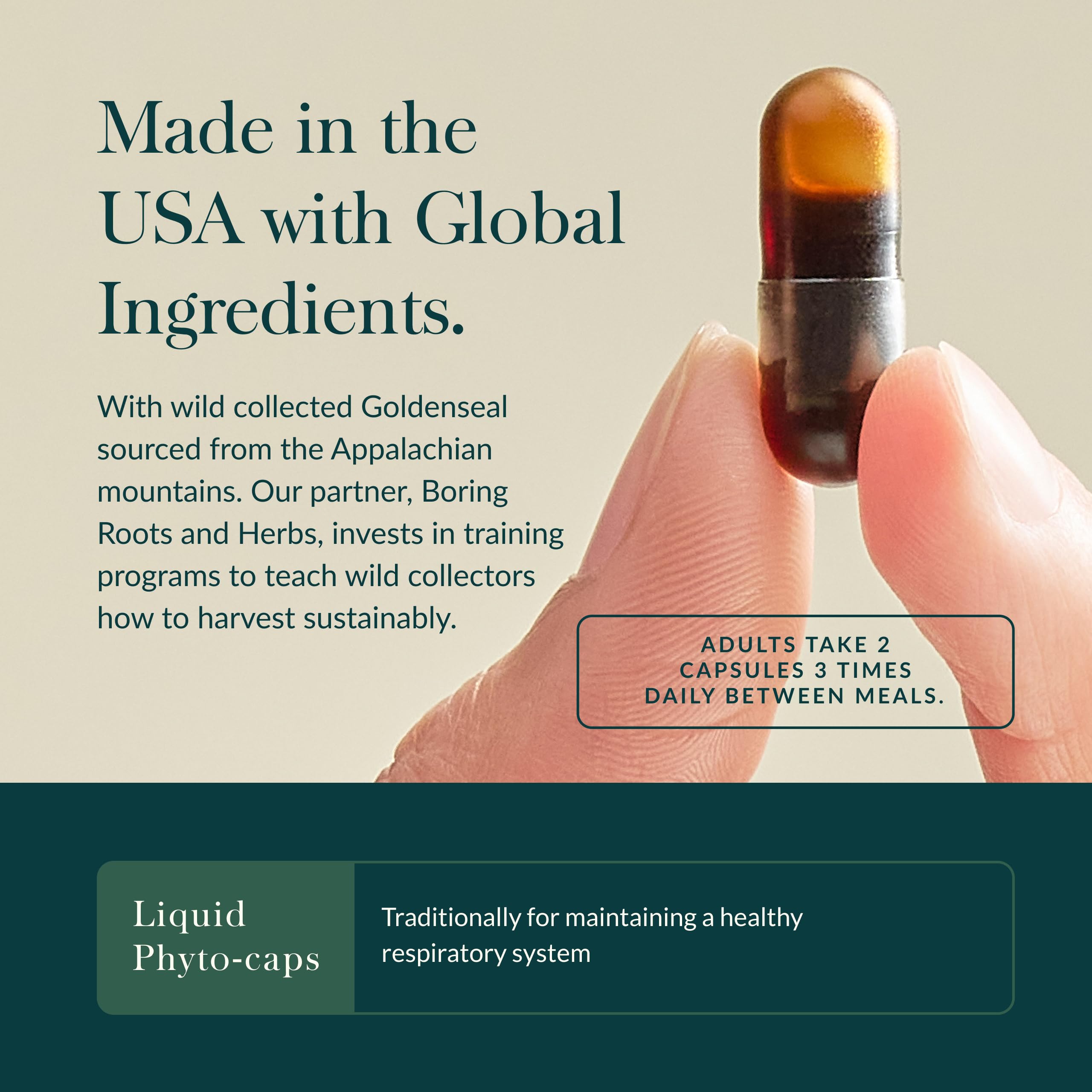 Gaia Herbs Echinacea Goldenseal, cápsulas veganas, forma conveniente de incorporar hierbas.