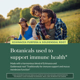 Gaia Herbs Echinacea Goldenseal, frasco detallado, uso diario para bienestar general.
