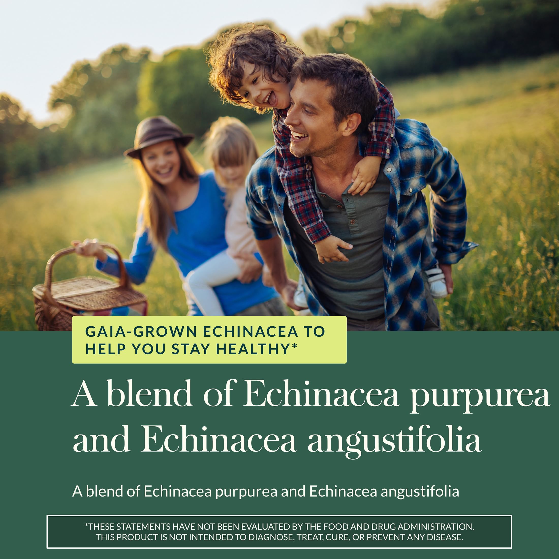 Cápsulas líquidas veganas de Gaia Echinacea Supreme, conveniente dosis diaria.