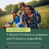 Cápsulas líquidas veganas de Gaia Echinacea Supreme, conveniente dosis diaria.