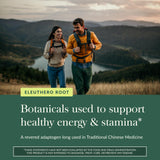 Gaia Herbs Eleuthero Raíz, botella en estante, rutina diaria de energía sugerida.
