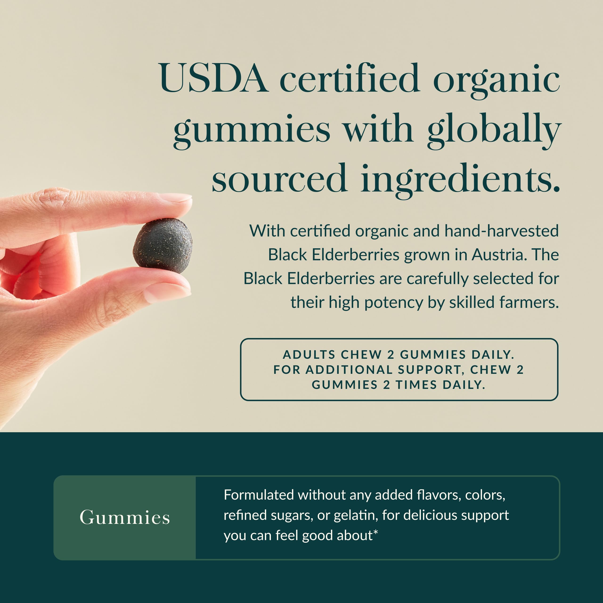Gaia Herbs extracto de sauco concentrado, sabor suave.