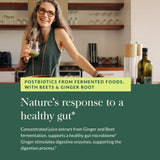 Gaia Herbs Ginger-Beet Postbiotic: ingredientes fermentados que fortalecen la microbiota