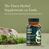 Gaia Herbs Gut Revival: cápsulas vegetales para uso diario y comodidad digestiva.