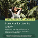 Gaia Herbs Gut Revival: empaque sostenible y responsable para tu rutina.