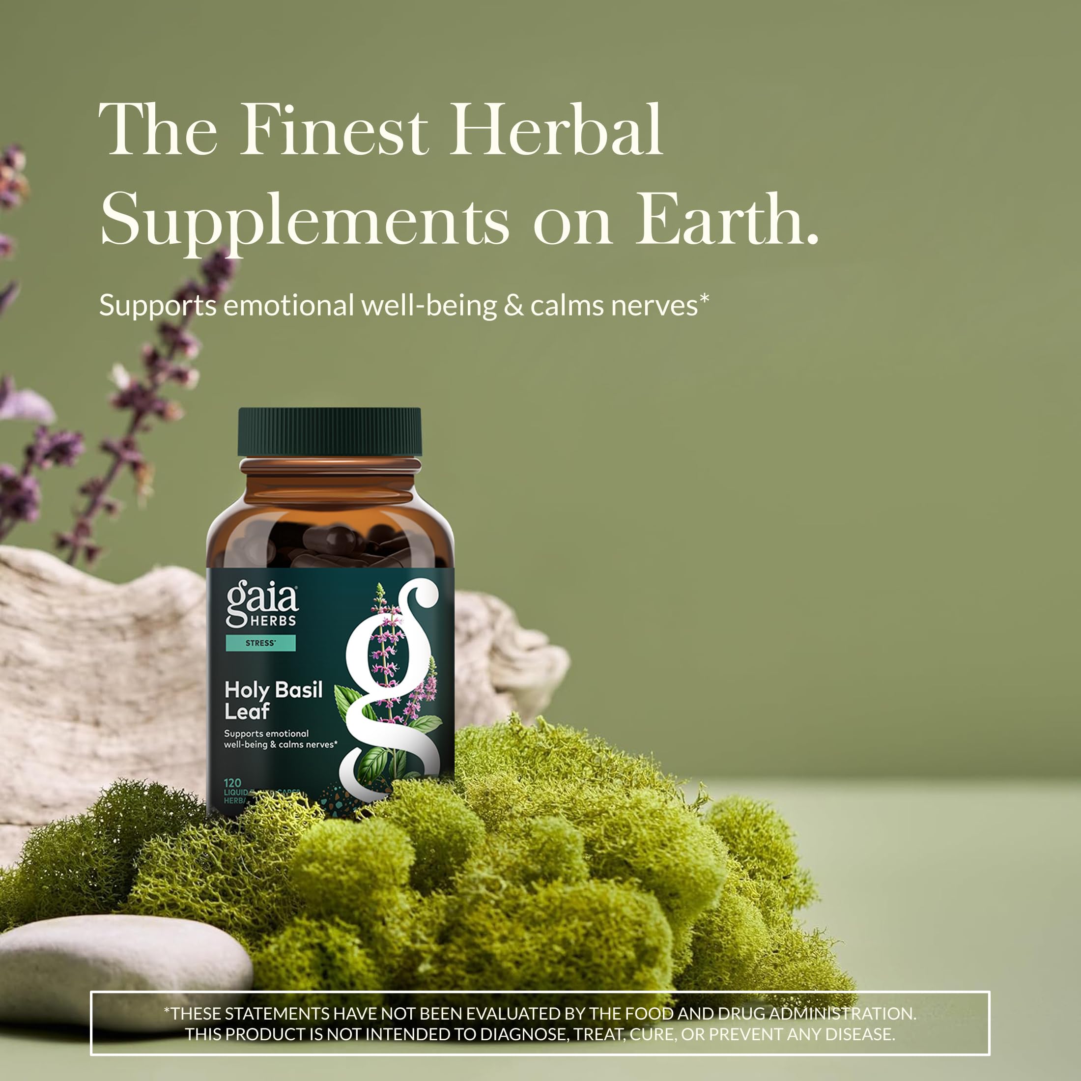 Gaia Herbs Holy Basil Leaf capsules close-up, convenient vegan format