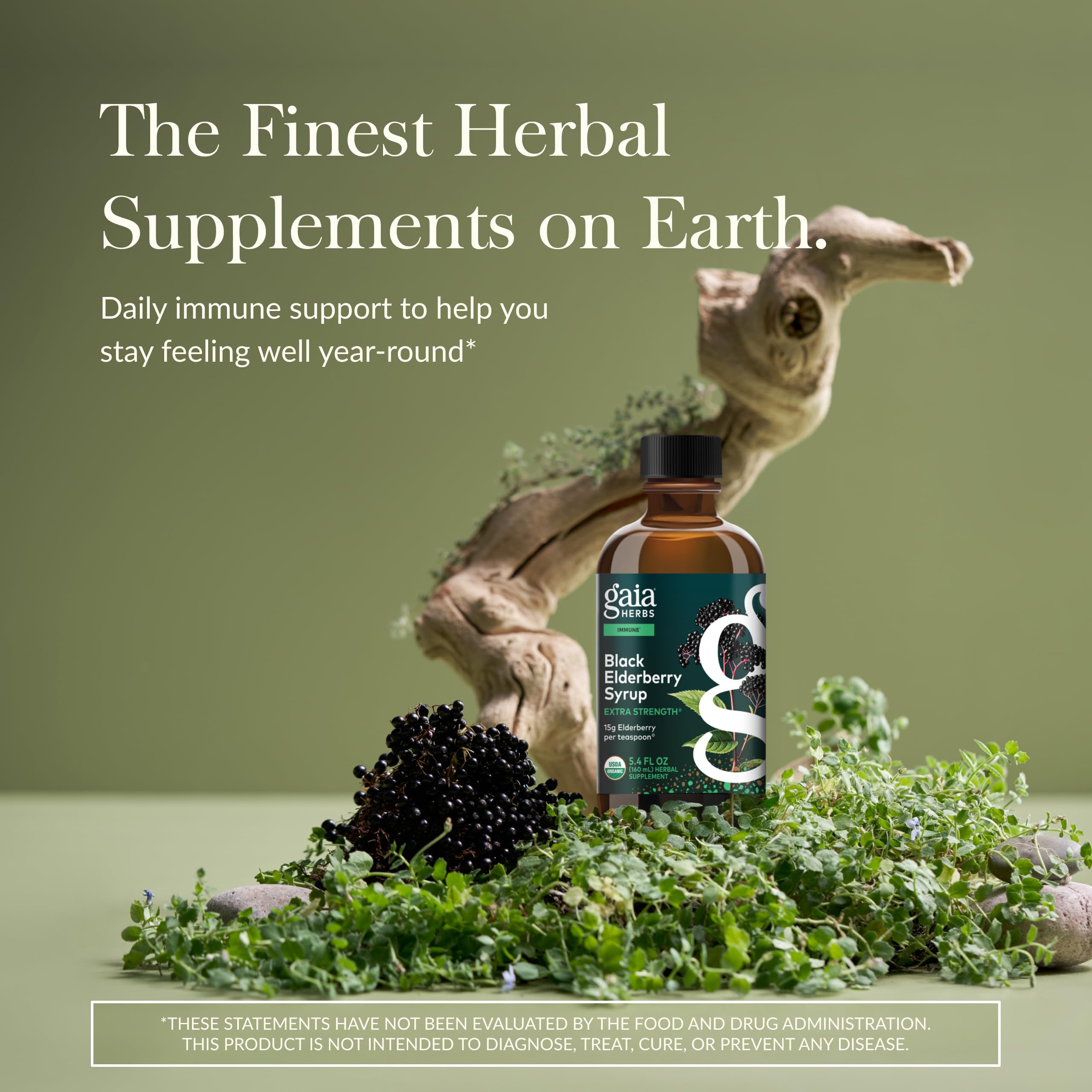 Etiqueta orgánica Gaia Herbs, jarabe de saúco para uso diario