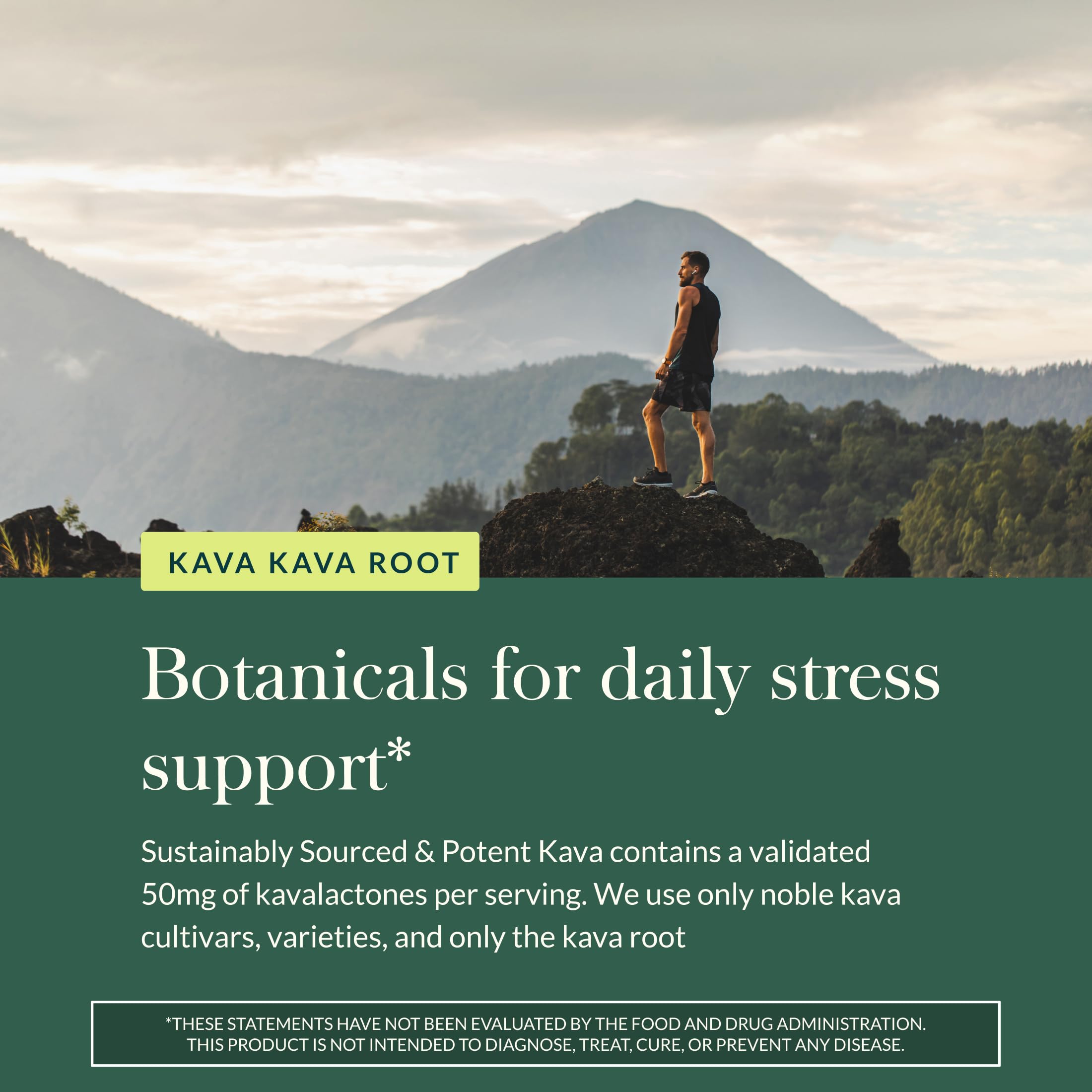 Raíz de kava sostenible Gaia, ingrediente responsable para bienestar.