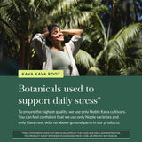 Gaia Herbs Kava Root frasco de 60 dosis para rutina diaria