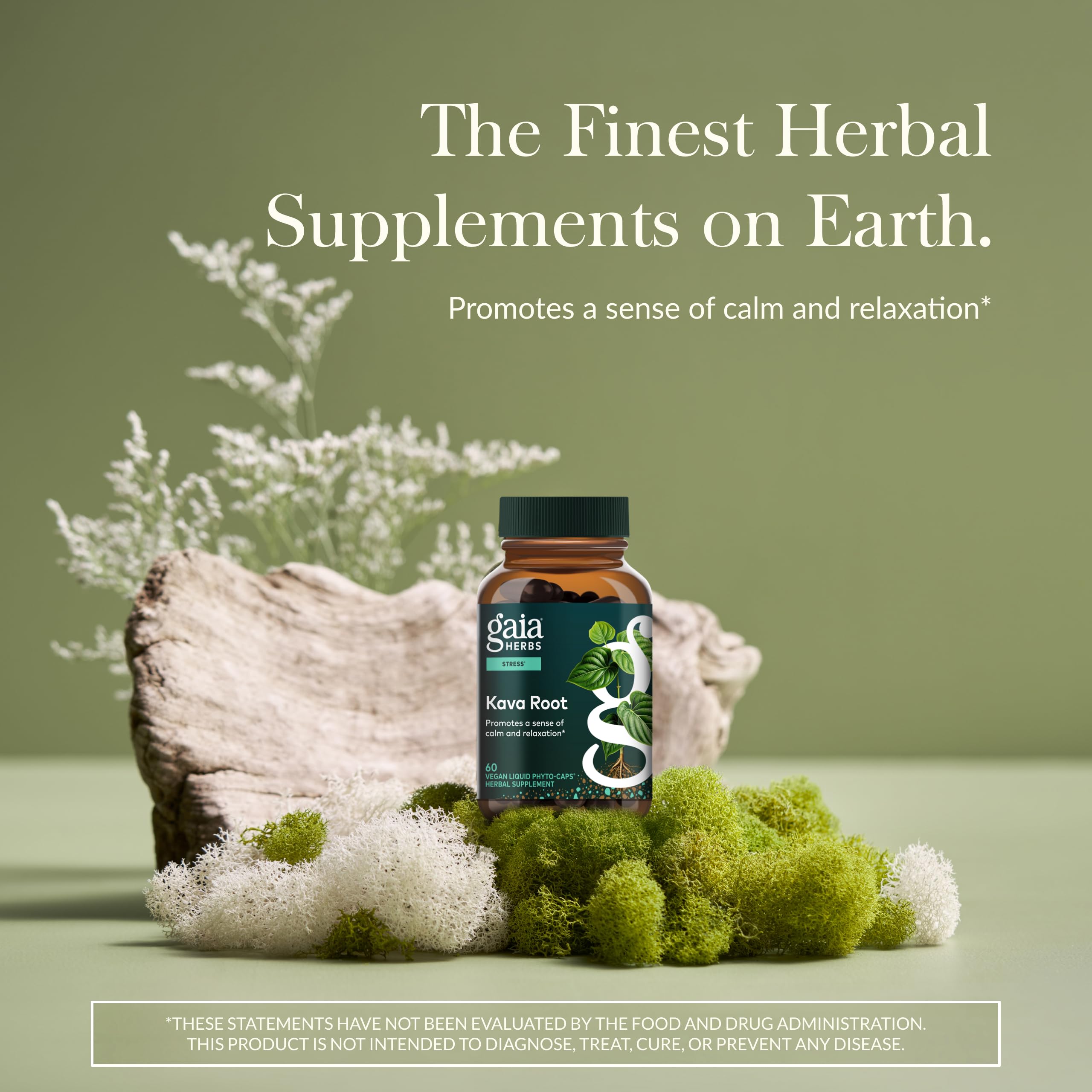 Gaia Herbs Kava Root con gotero, relajación para la tarde
