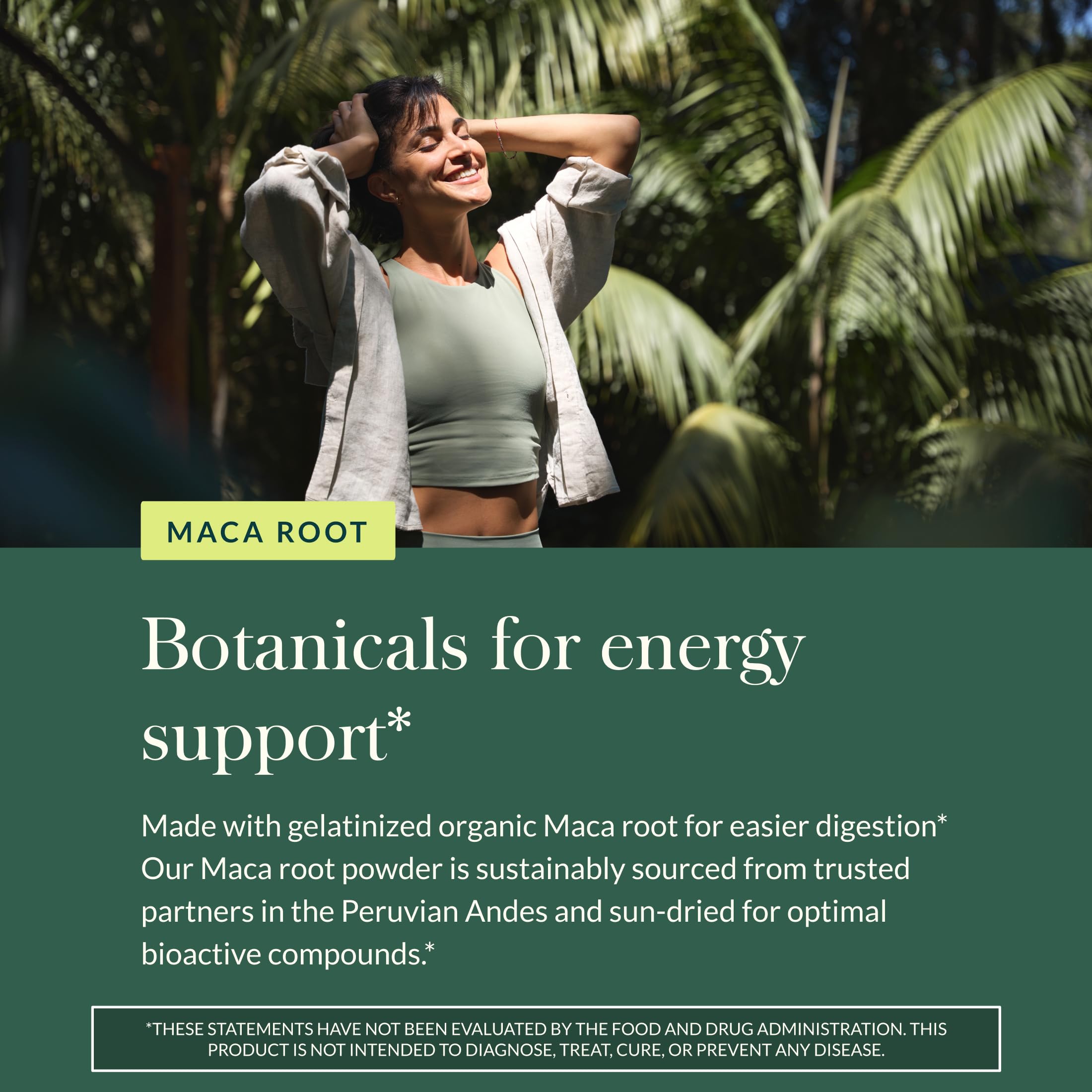 Gaia Herbs Maca en polvo, digestión facilitada gracias a la gelatinización.