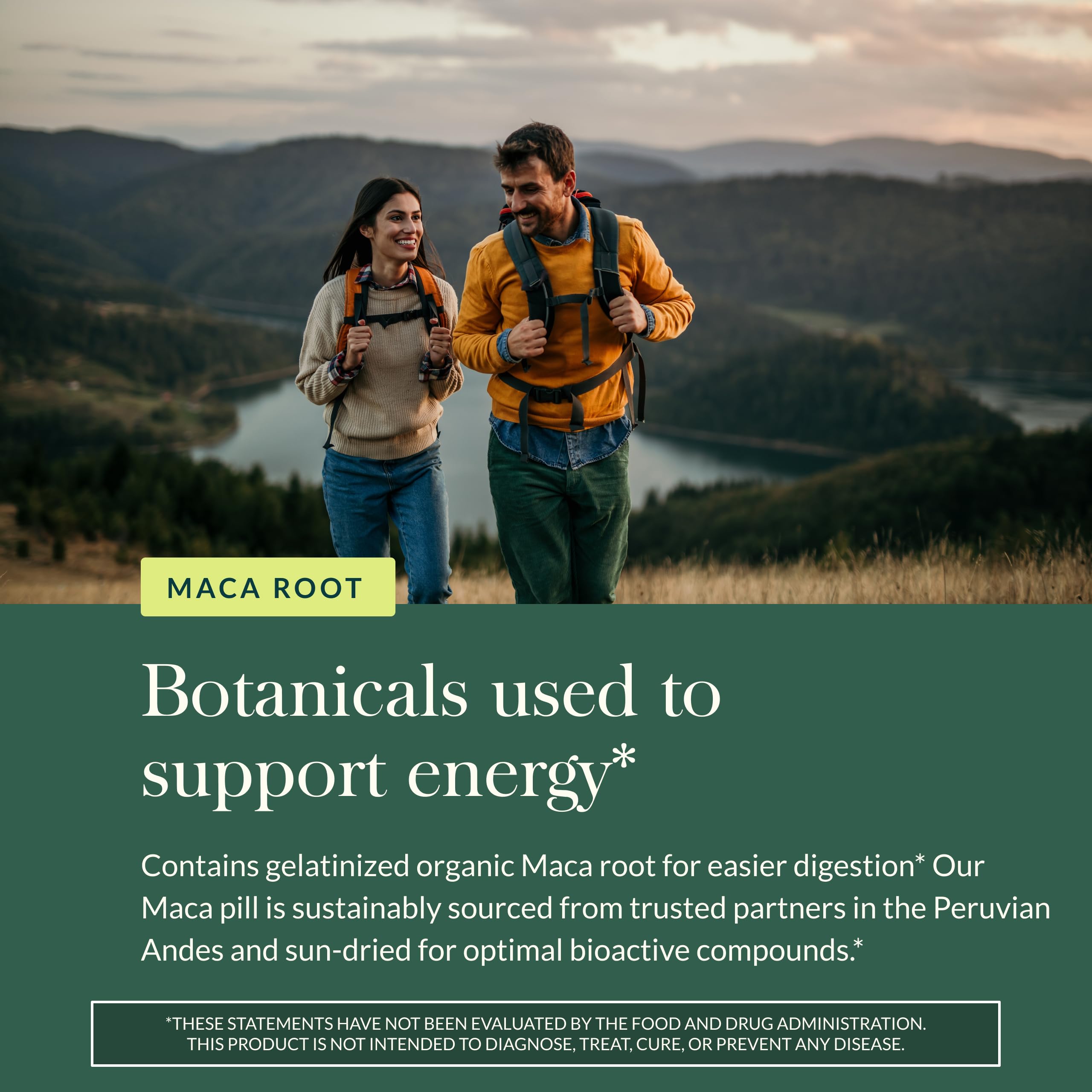 Gaia Herbs Maca Root, ingredientes orgánicos de maca para uso diario.