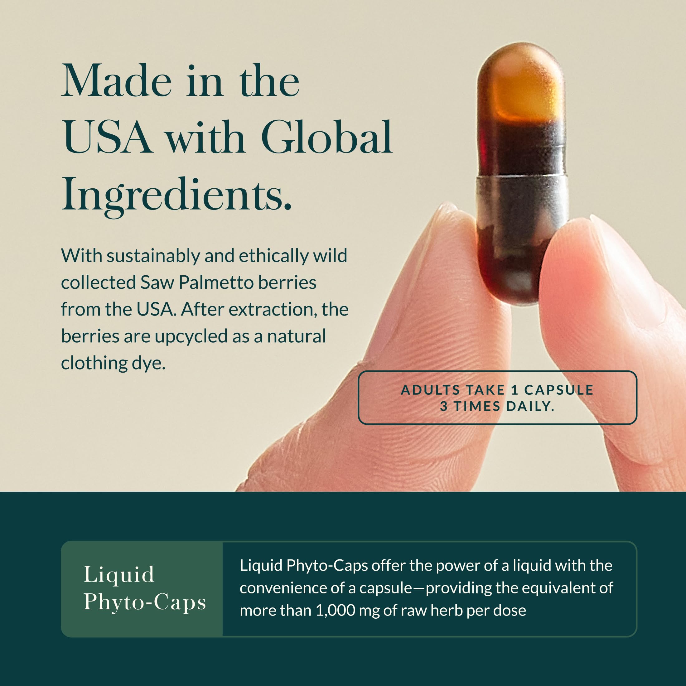 Palma enana (Serenoa repens) en Gaia Herbs Male Libido, ingrediente tradicional