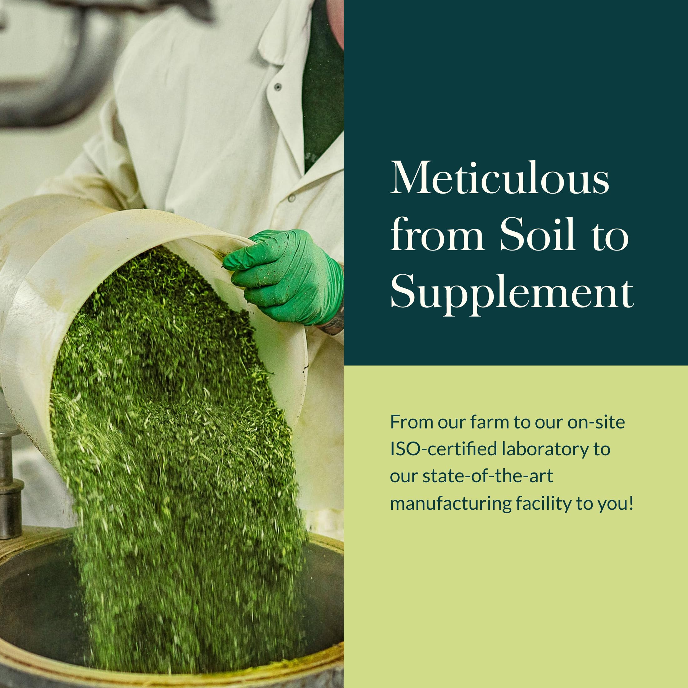 Gaia Herbs Male Libido: tradición herbal y ciencia para confianza