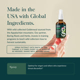 Gaia Herbs spray garganta: mezcla herbal para confort suave.
