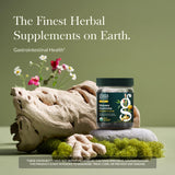 Gaia Herbs Nausea Gummies, botella detalle etiqueta, enfoque en ingredientes orgánicos.