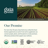 Gaia Herbs Nausea Gummies, etiqueta destaca la ausencia de edulcorantes artificiales.