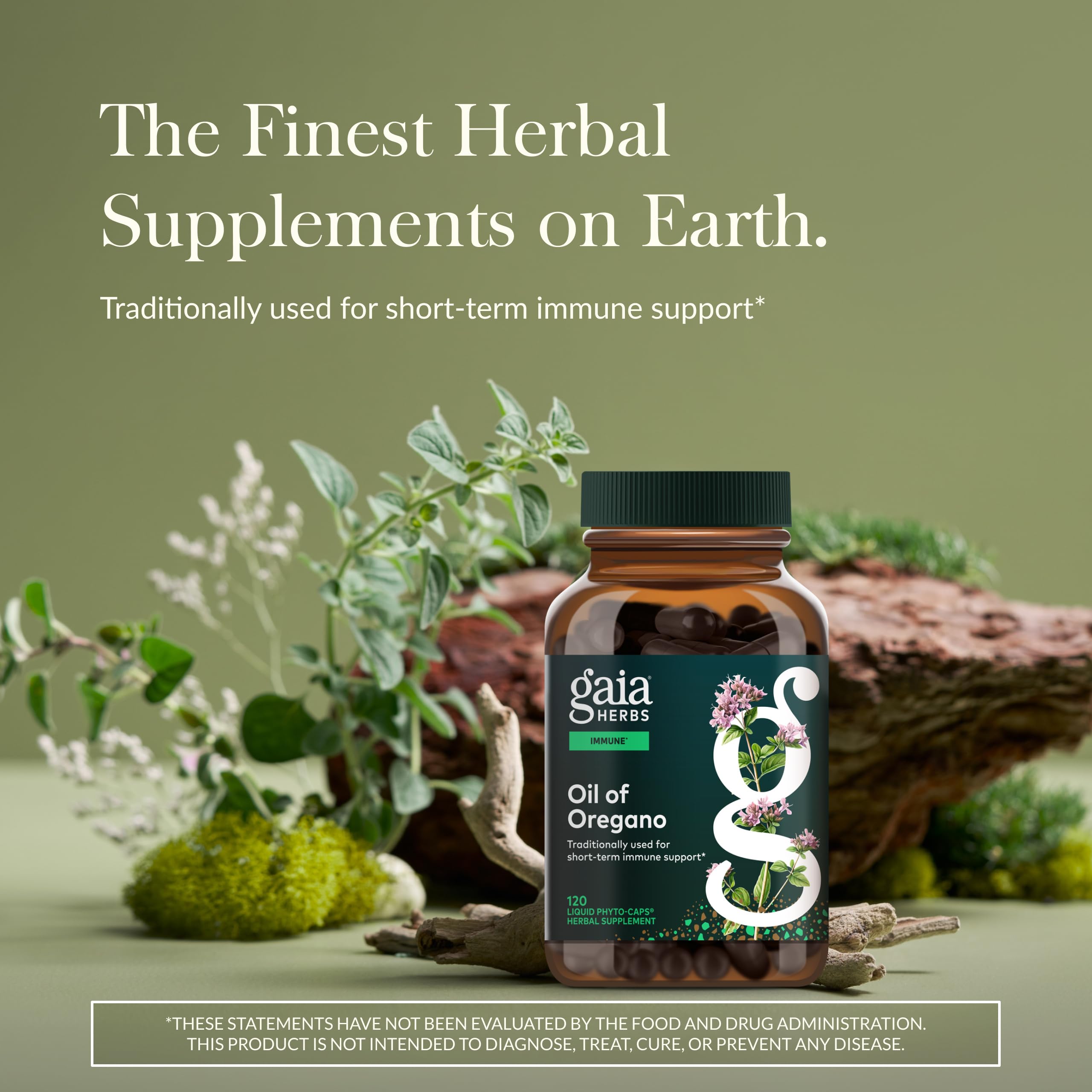 Gaia Herbs Oil of Oregano capsules ready for daily wellness