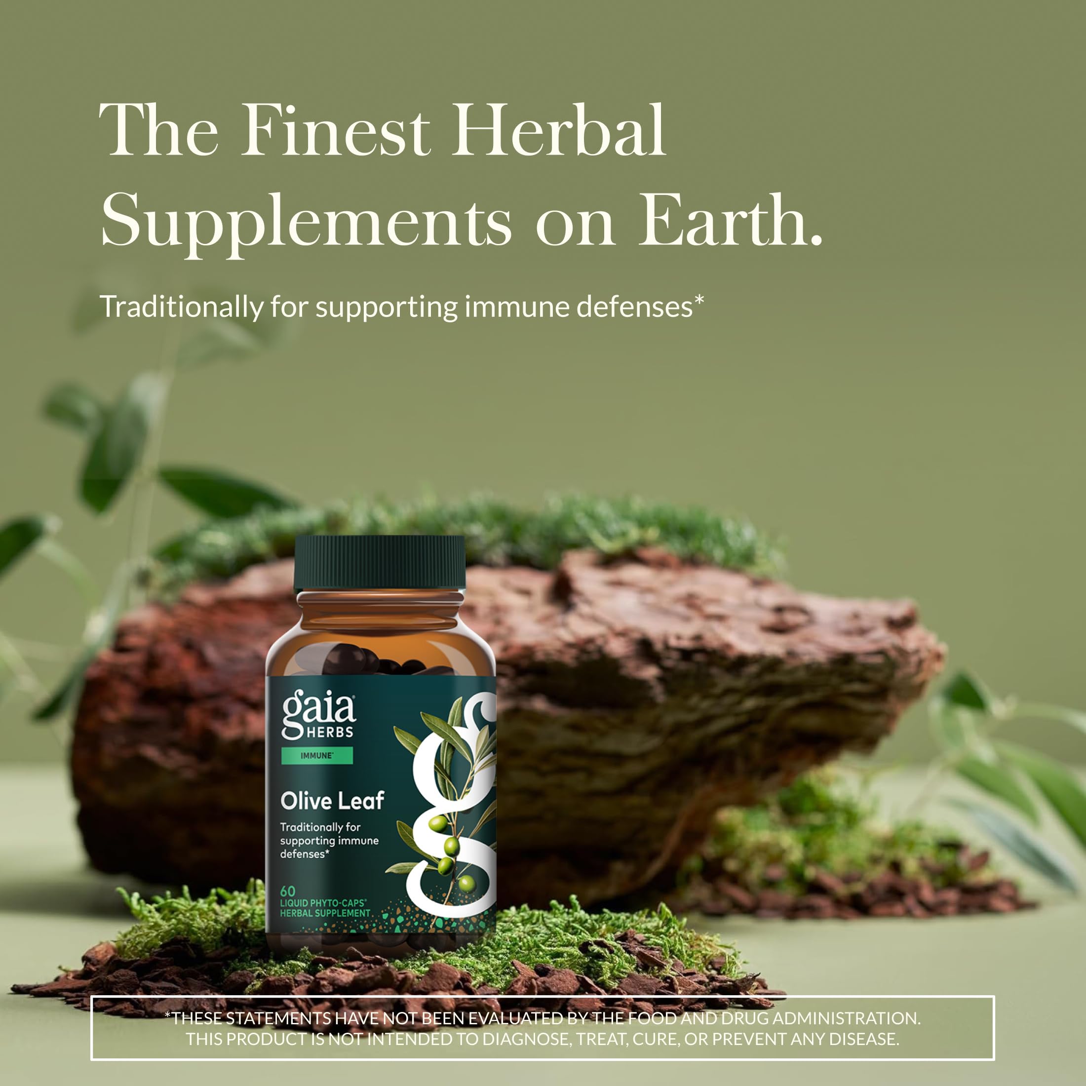 Gaia Herbs Olive Leaf: extracto de oleuropeína para posible apoyo estacional del bienestar.