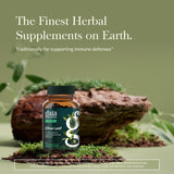 Gaia Herbs Olive Leaf: extracto de oleuropeína para posible apoyo estacional del bienestar.