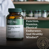 Gaia Herbs Ortiga Hoja: ingredientes de origen y cultivo responsables