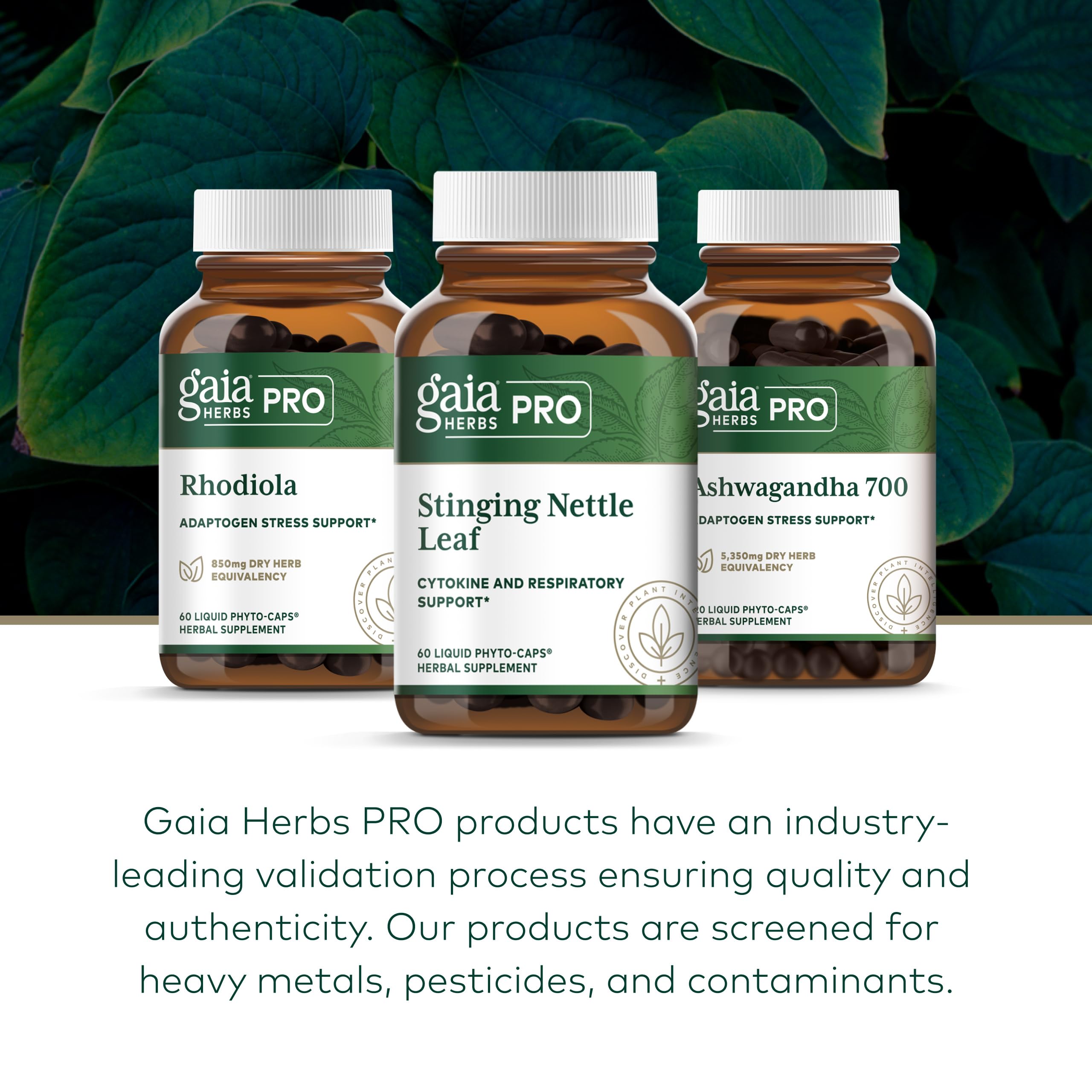 Gaia Herbs Ortiga Hoja: apto para veganos y libre de gluten