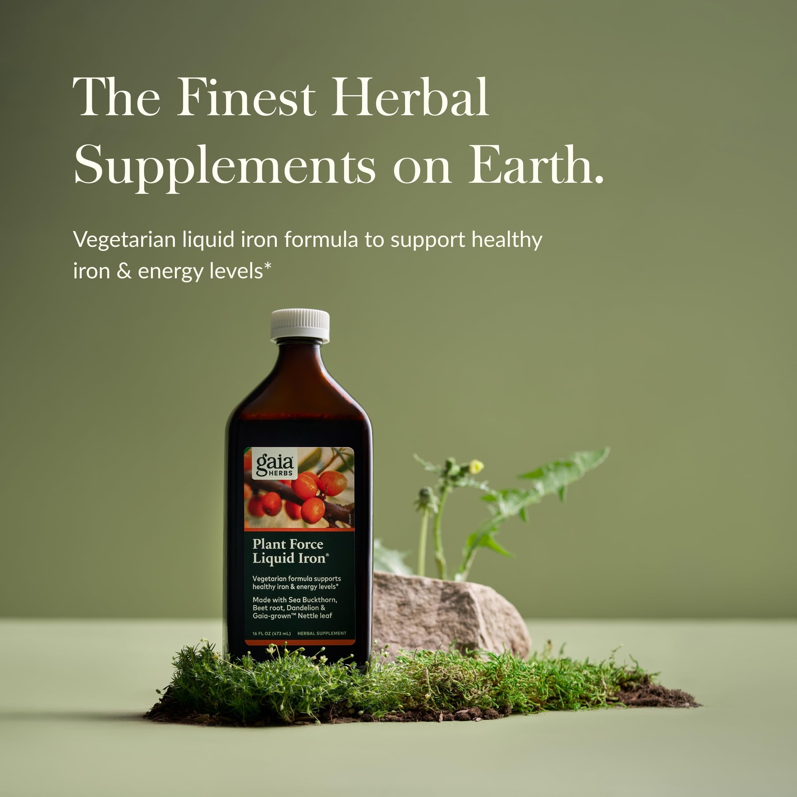 Gaia Herbs Plant Force Hierro, etiqueta frontal, fuente de hierro vegetariano.