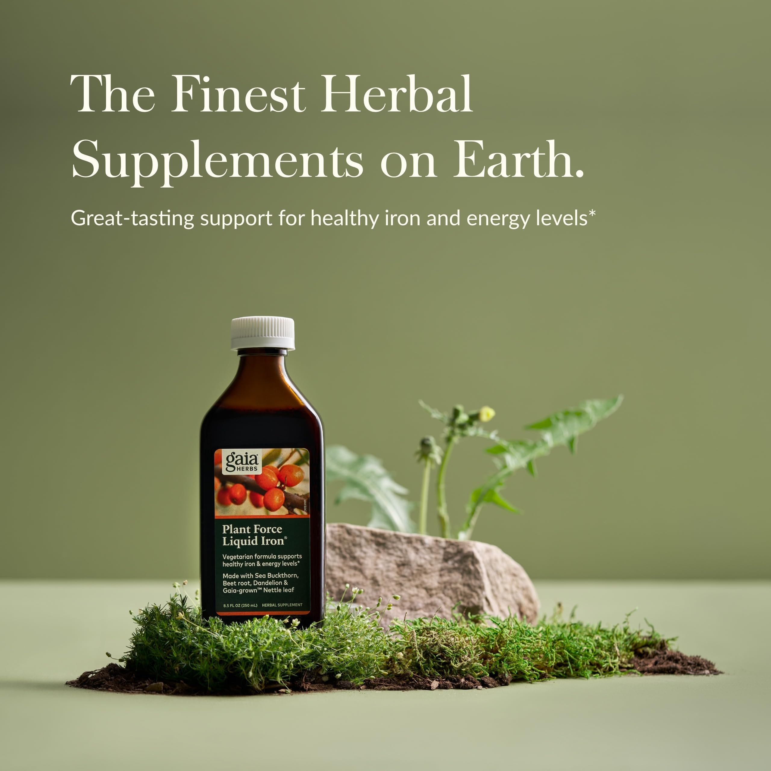 Gaia Herbs Plant Force Hierro líquido: etiqueta con ingredientes naturales.