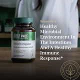 GAIA HERBS PRO Campo orgánico regenerativo dedicado al cultivo de orégano
