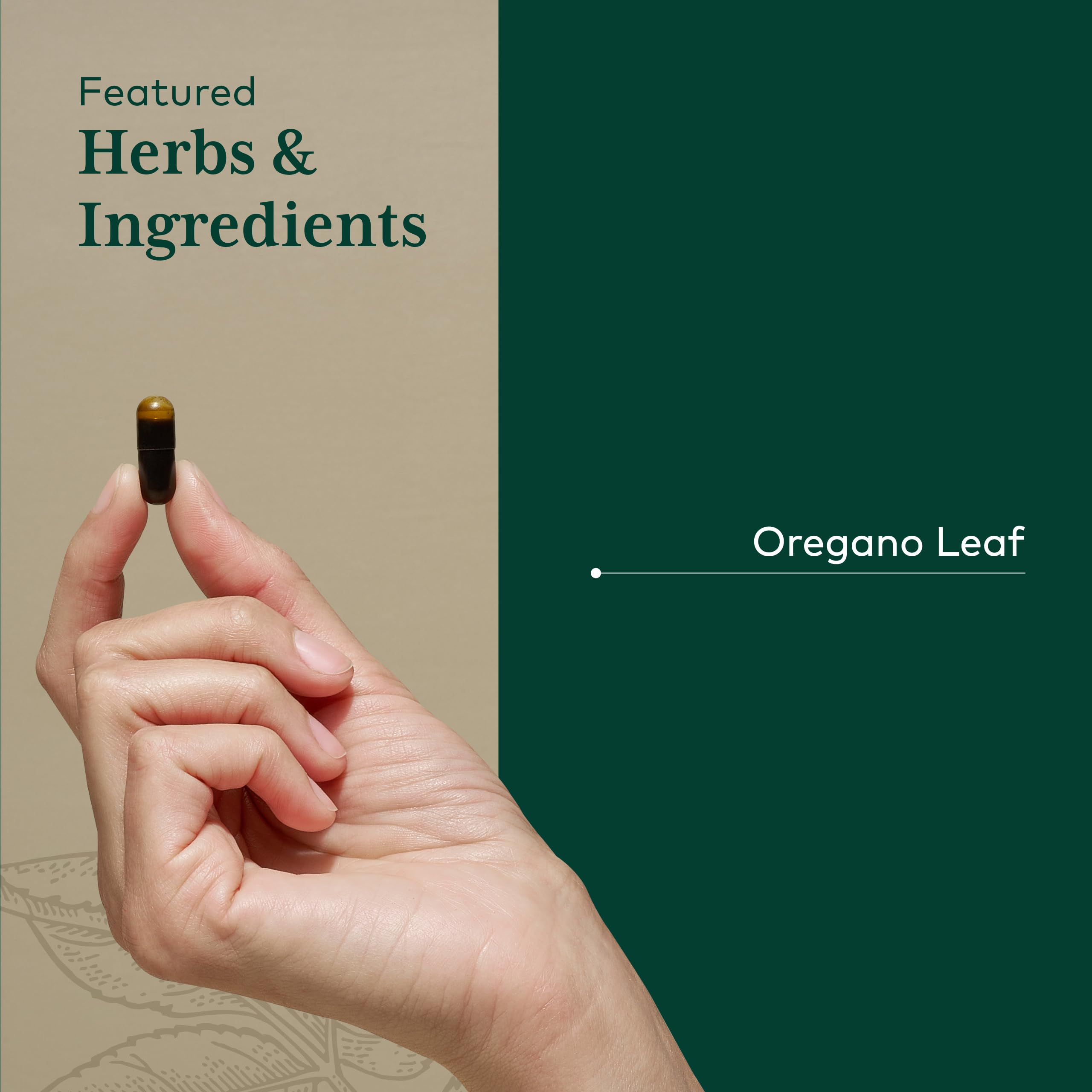 GAIA HERBS PRO Extracción CO2 supercrítica concentra carvacrol y timol