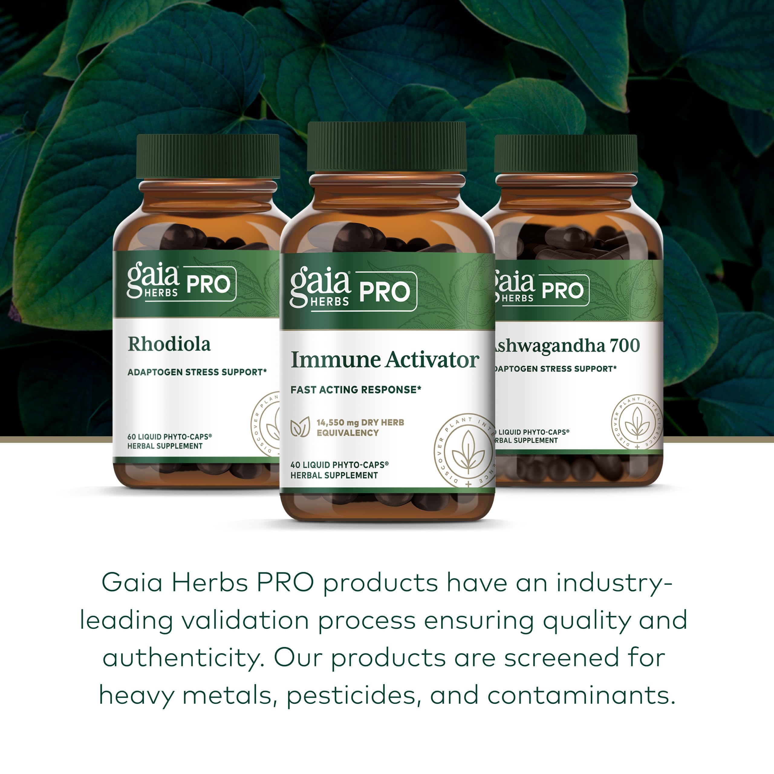 Gaia Herbs PRO Activador Inmunidad, pack informativo, facilita la revisión de beneficios.