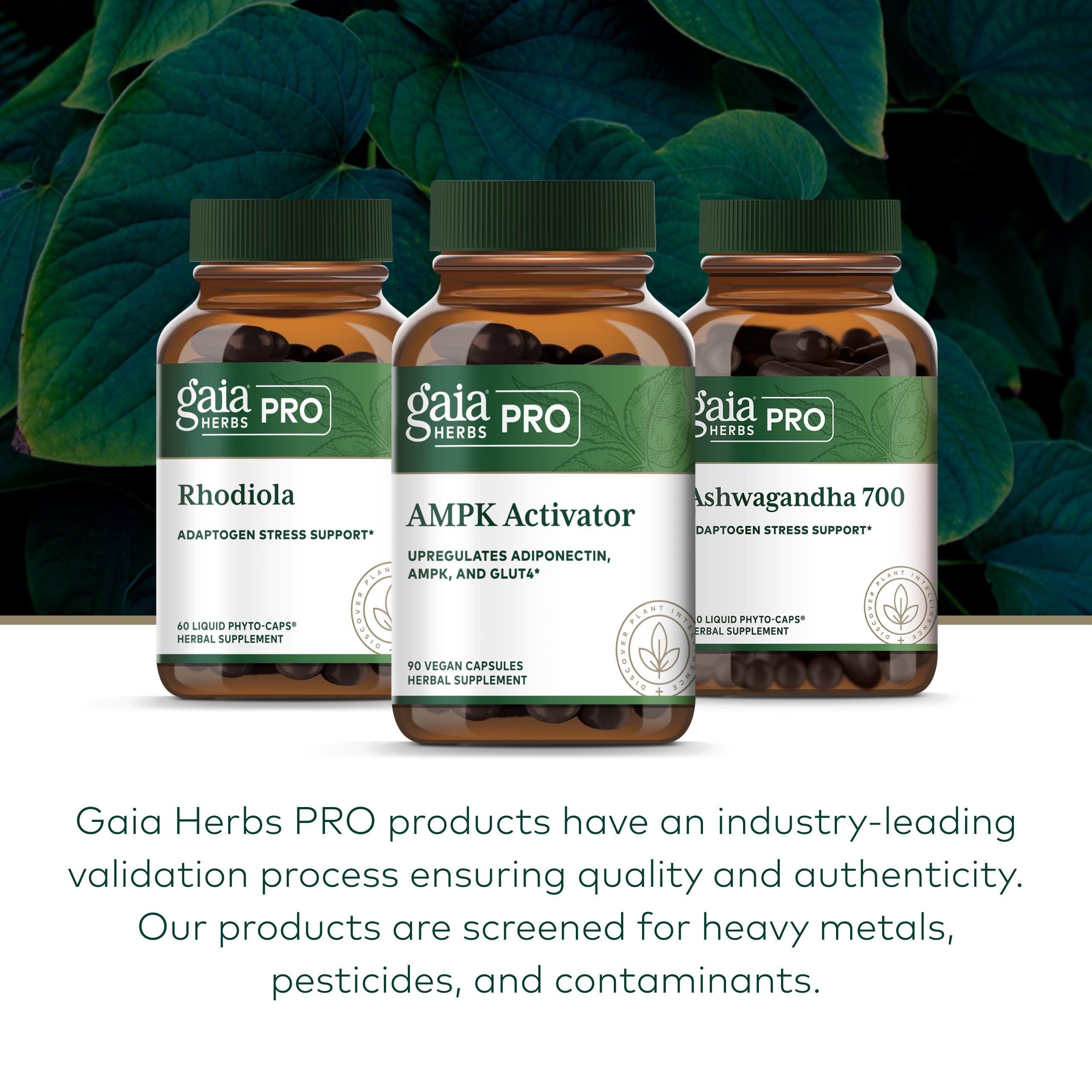 Gaia Herbs PRO AMPK Activador, uso diario con comidas en cápsula